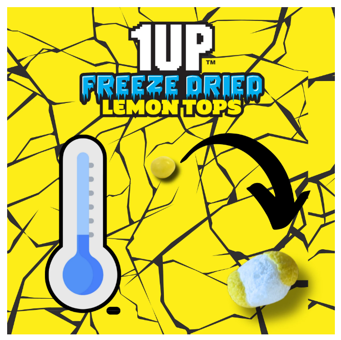 1UP Freeze Dried Lemon Tops Tangy Candy Resealable Bag 4.2 oz