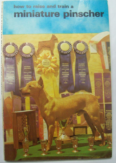 How To Raise And Train A Miniature Pinscher Paperback