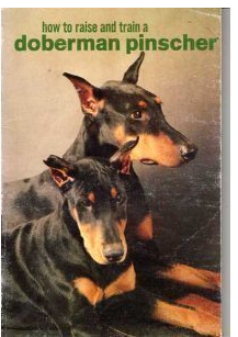 How To Raise And Train A Doberman Pinscher Paperback
