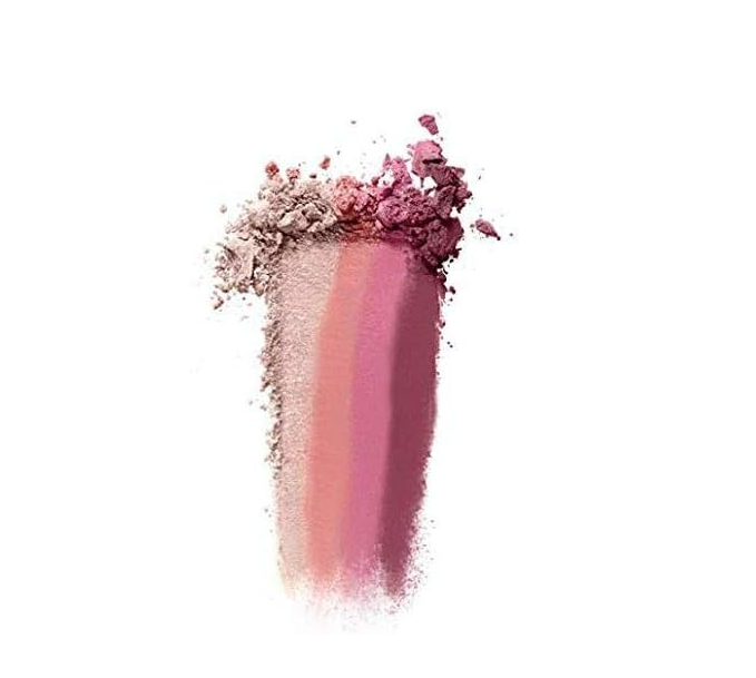 Master Blush Palette N 10