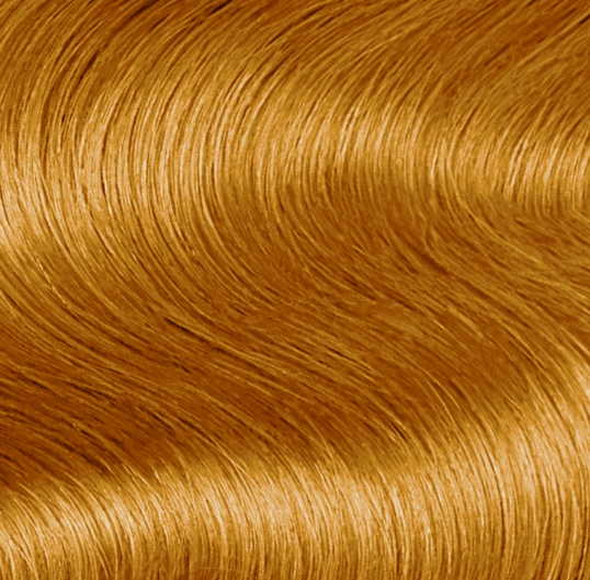 Schwarzkopf Professional IGORA Royal Permanent Color Creme (0-55 Gold Concentrate)